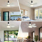 🔥SUMMER SALE - 49% OFF🔥 Bright Cool Ceiling Socket Fan & Light with Remote
