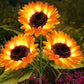 🌞Solar LED Sunflower Garden Lights-29.6inch/75cm