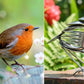 🐦 Handmade Metal Robin - Buy 2 Free Shipping