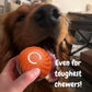 🎁Early Christmas Hot Sale 49% OFF🎅💥Interactive Dog Toys Dog Ball