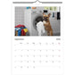 🐶French Bulldog Calendar 2026 - Daily Activities