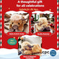 🎁Last Day Promotion 49% OFF✨Cute Cartoon Highland Cow Cuddly Toy