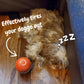 🎁Early Christmas Hot Sale 49% OFF🎅💥Interactive Dog Toys Dog Ball
