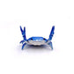🔥LAST DAY 60% OFF💥❤️🤣 Funny Hot Sale - 🦀 Cute crab-shaped pen holder
