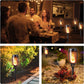 🏆Flash Sale⚡ 50K+ Solar Powered Fire Flame Design Garden Light