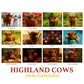 2026 Highland Cow Wall Calendar