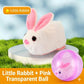 🥳2026 HOT SALE🥳💞50K+ SOLD! 💖🐱Self-Rolling Interactive Cat Ball