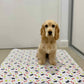 Hot Sale🔥Premium Re-Useable Accident-Proof Puppy Pads🐾 (Kitten & Other Pets)
