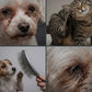 Pet Grooming Comb for Cats and Dogs