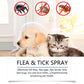 💜LAST DAY -BUY 2 GET 1 FREE💜50K+ SOLD!✨🐶🐱Natural Flea & Tick Spray for Dogs and Cats