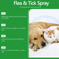 💜LAST DAY -BUY 2 GET 1 FREE💜50K+ SOLD!✨🐶🐱Natural Flea & Tick Spray for Dogs and Cats