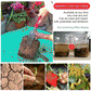 🥳SUMMER HOT SALE🥳💞50K+ SOLD!🔥Soil Activated Treasure-You Will Be Amazed!