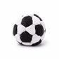 🏆Limited Time Sale 49% OFF ⚽Portable Outdoor Soccer Training Footbag