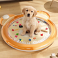 🥳2026 HOT SALE🥳💞50K+ SOLD!🌸Non-Slip Cooling Splash Pet Mat