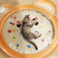 🥳2026 HOT SALE🥳💞50K+ SOLD!🌸Non-Slip Cooling Splash Pet Mat