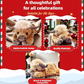 🎄 Holiday Essentials 🐮Highland Cow Plush Toy – Cute & Cuddly Highland Cow Soft Toy Gift